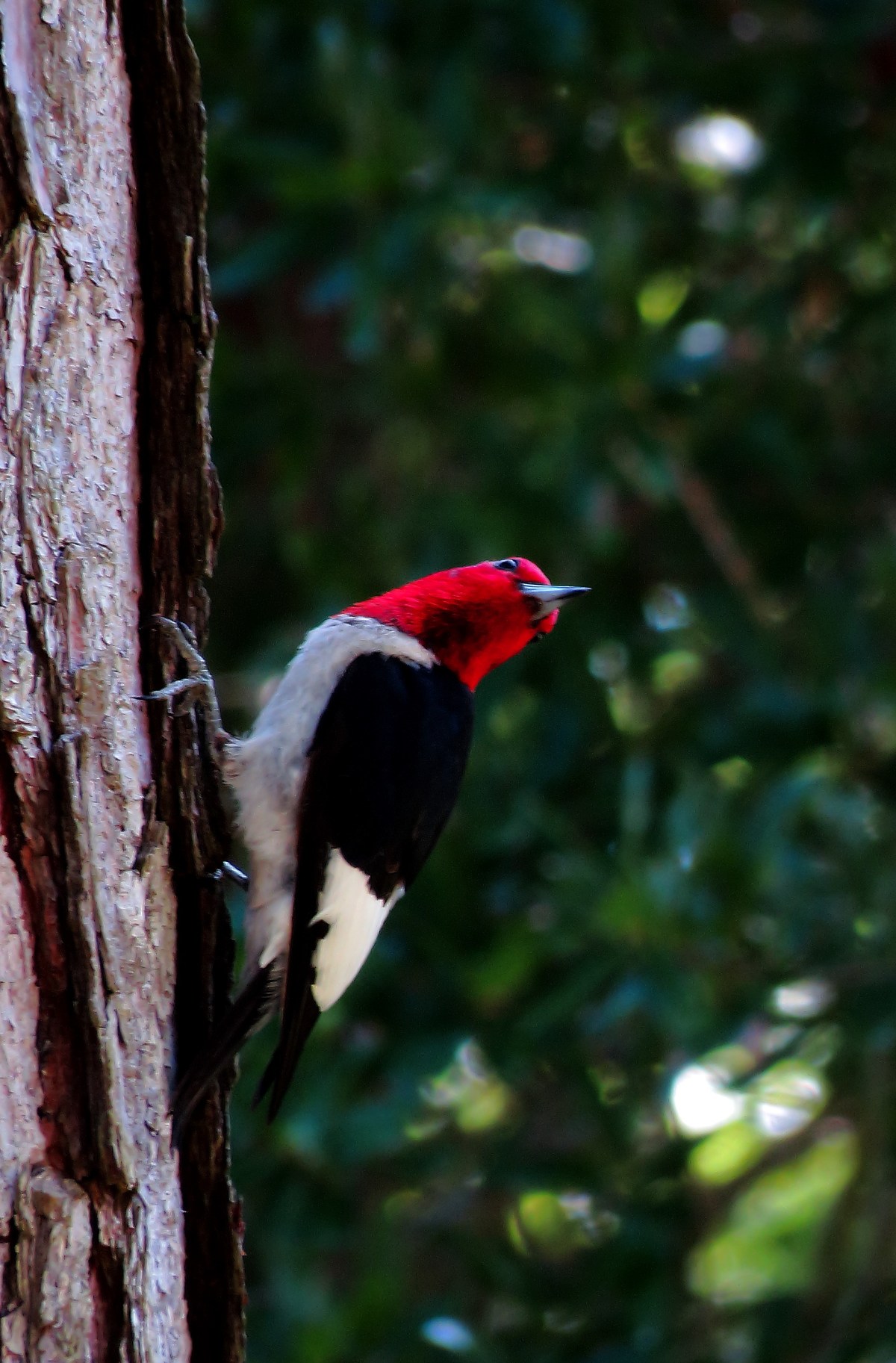 A Thought for July 8,&nbsp;2014