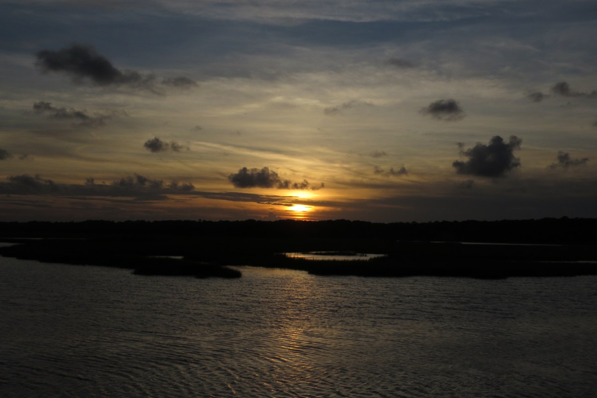 Lamenting a Tree&nbsp;Lost