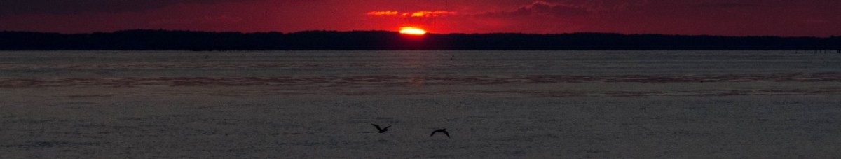 beginnings and endings