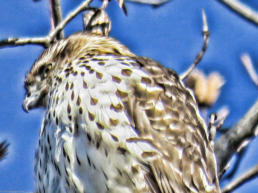 Watching and Waiting