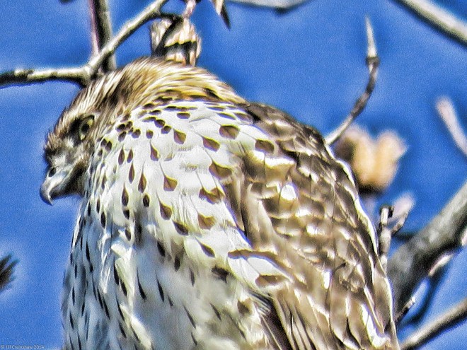 Watching and Waiting