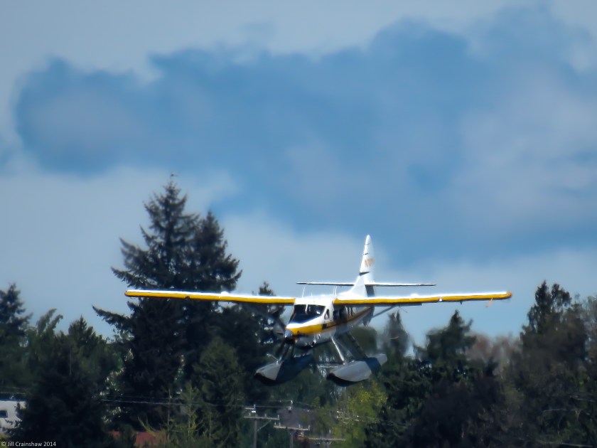 Seattle Flying