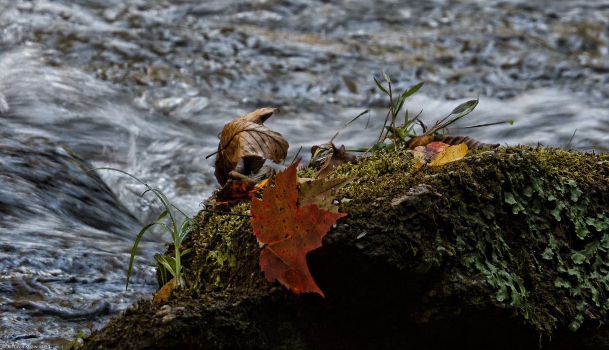 Thirsty: A Lament for Flint,&nbsp;Michigan