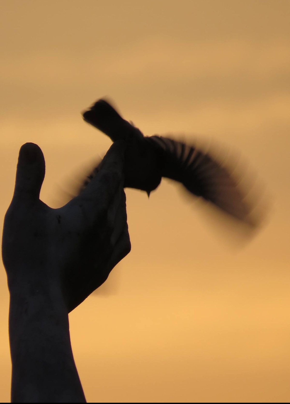 Into God’s Hands: A Good Friday Prayer&nbsp;Poem