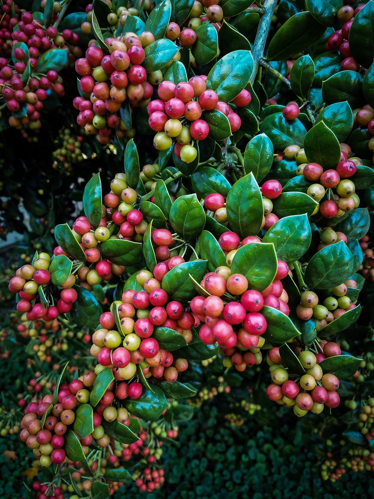 Preparing for Winter