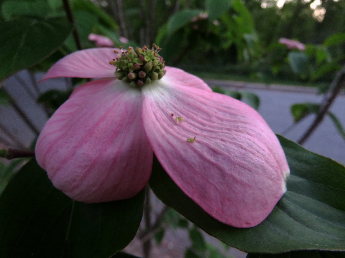 For We Who Are Alone Together on Holy&nbsp;Wednesday