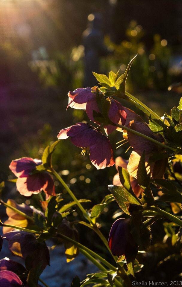 New Clothes for&nbsp;Easter